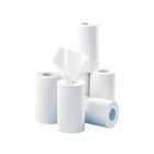 12 rolls of smooth, center-pull paper - 200 sheets - 21 x 35 cm - Euromédis