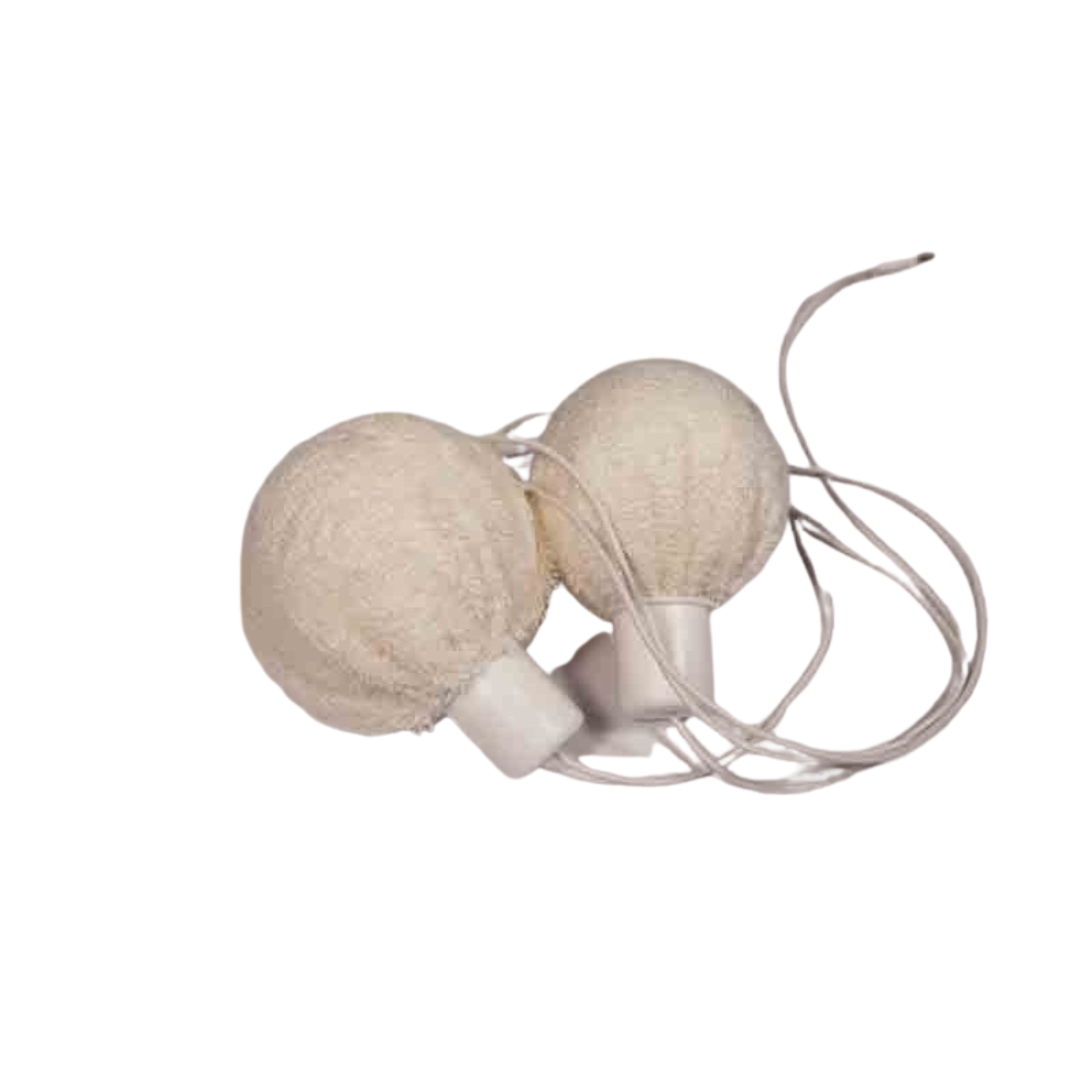 AXILLA Kit - I2M Laboratories