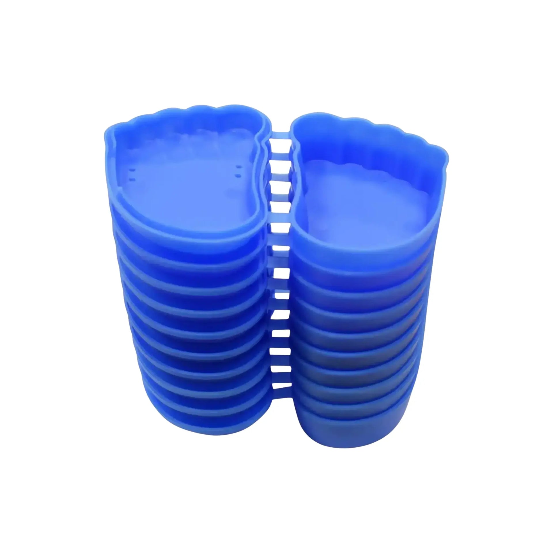Orthocase - 12 storage boxes for silicone orthoplasties Fresco Podologia 