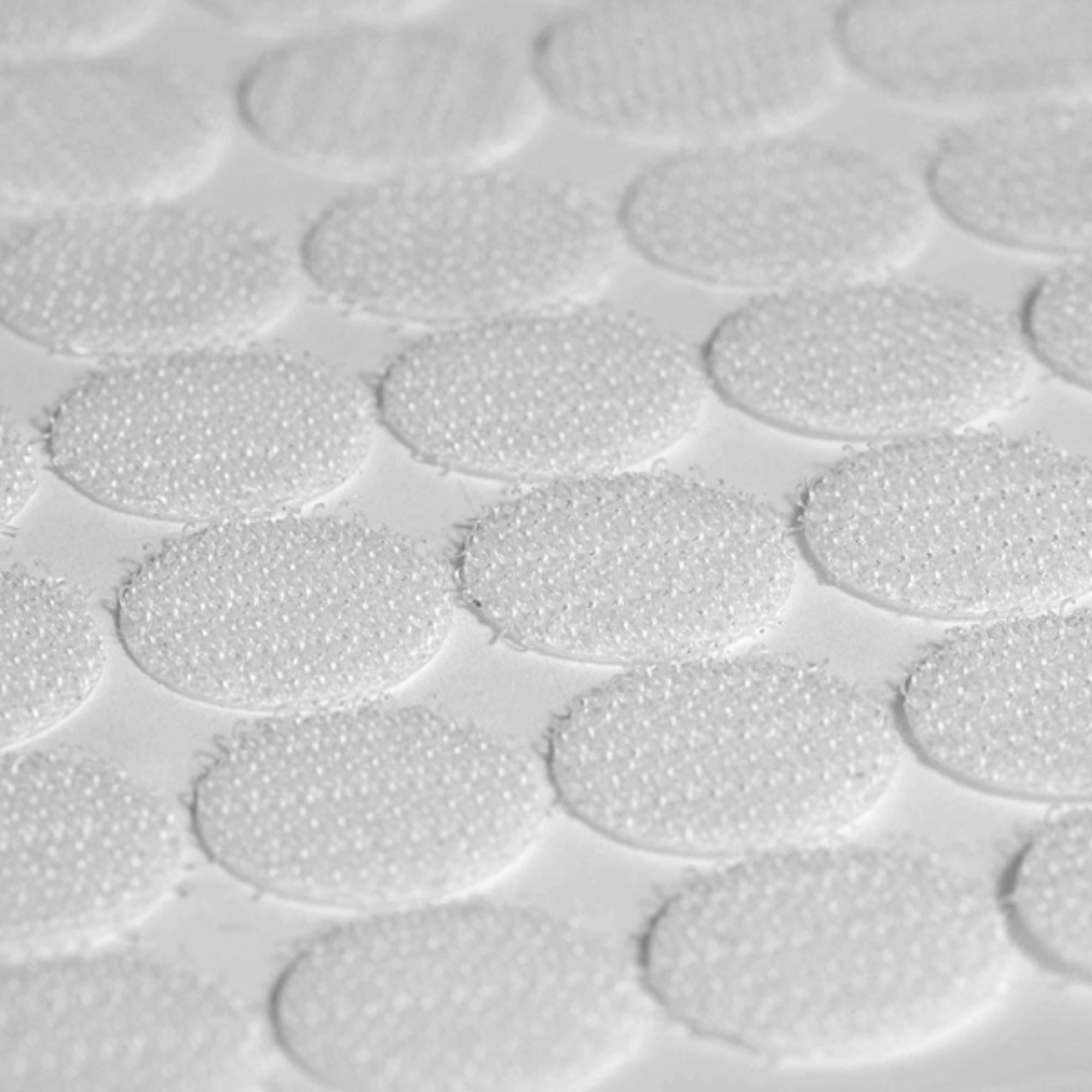 Almohadillas adhesivas - Ganchos de agarre - Caja de 150 almohadillas - Velcro