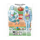 Anatomical board - Diabetes - Anatomy and pathology